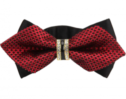 LAZ-3204 - Lazo Caballero Con Anillo Vinotinto