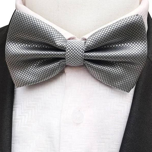 LAZ-3007 - Lazo Unicolor Plateado Caballero