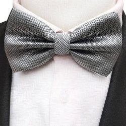 LAZ-3007 - Lazo Unicolor Plateado Caballero